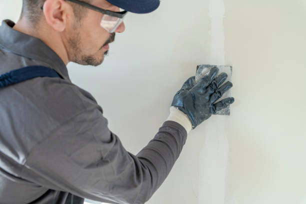 Professional Drywall & Painting Services in Harbison Canyon, CA